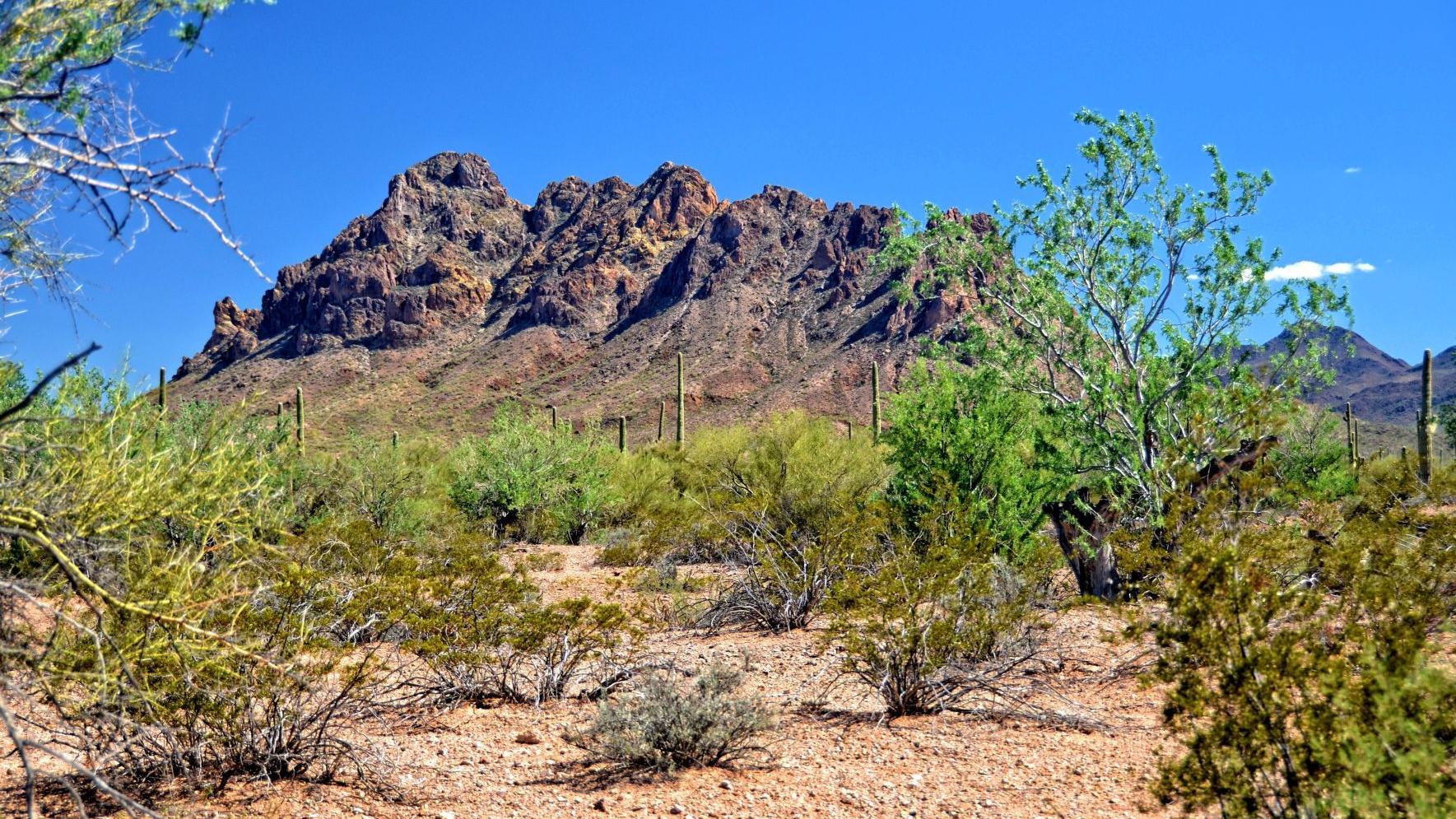 Asarco wants 11,000 acres pulled from Ironwood Monument